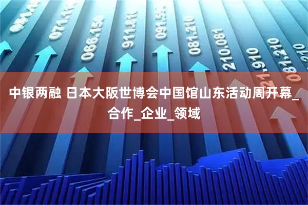 中银两融 日本大阪世博会中国馆山东活动周开幕_合作_企业_领域