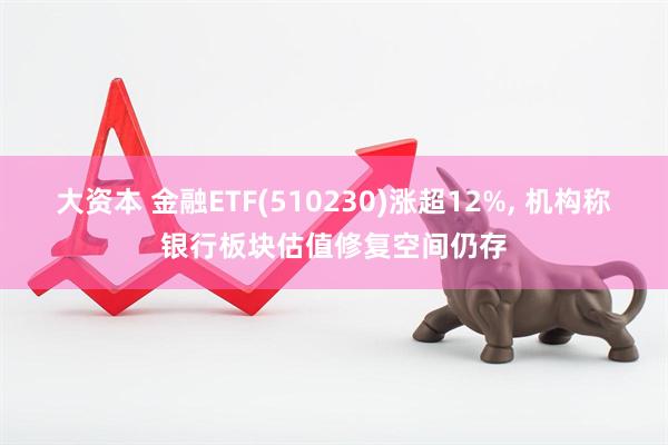 大资本 金融ETF(510230)涨超12%, 机构称银行板块估值修复空间仍存