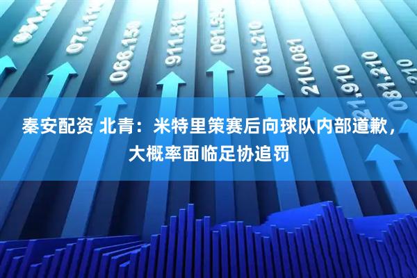 秦安配资 北青：米特里策赛后向球队内部道歉，大概率面临足协追罚